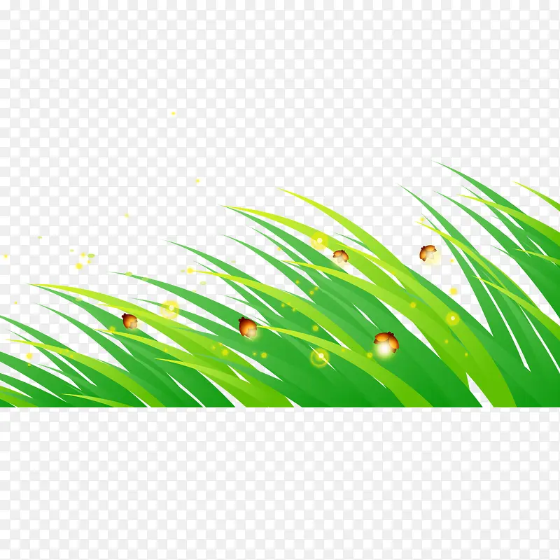 ��ͨС��ө���-������