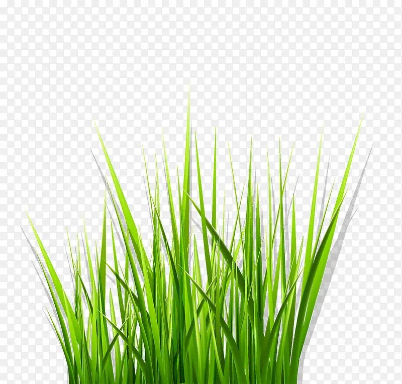 С��-������