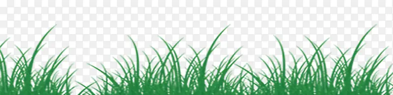 С��-������