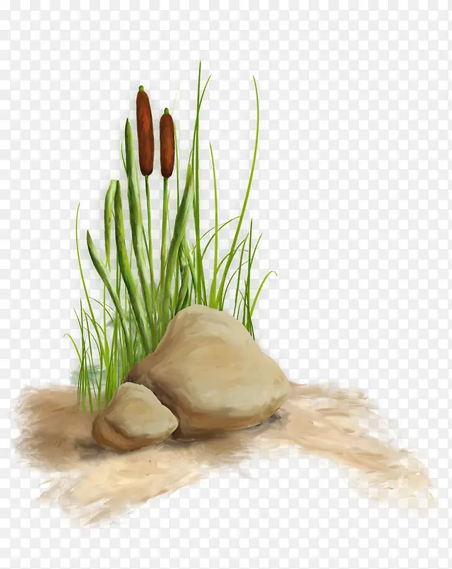 С��-������