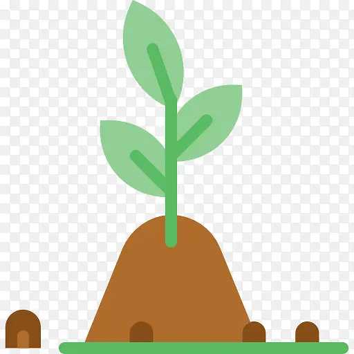 ����С��-������