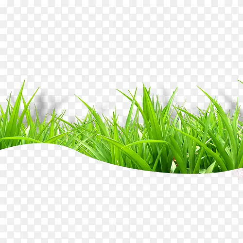 С��-������