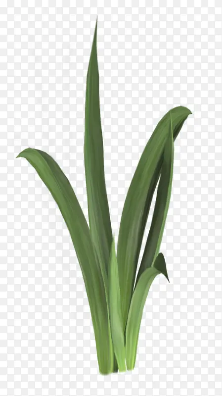 ��-������