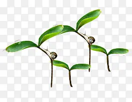 С��Ԫ��-������