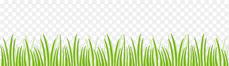 ��ɫС��-������