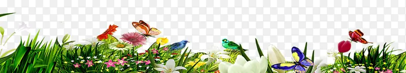 �̲��ʻ�-������