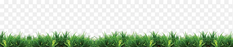 ����С��-������