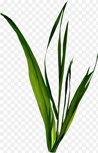 �̲�-������