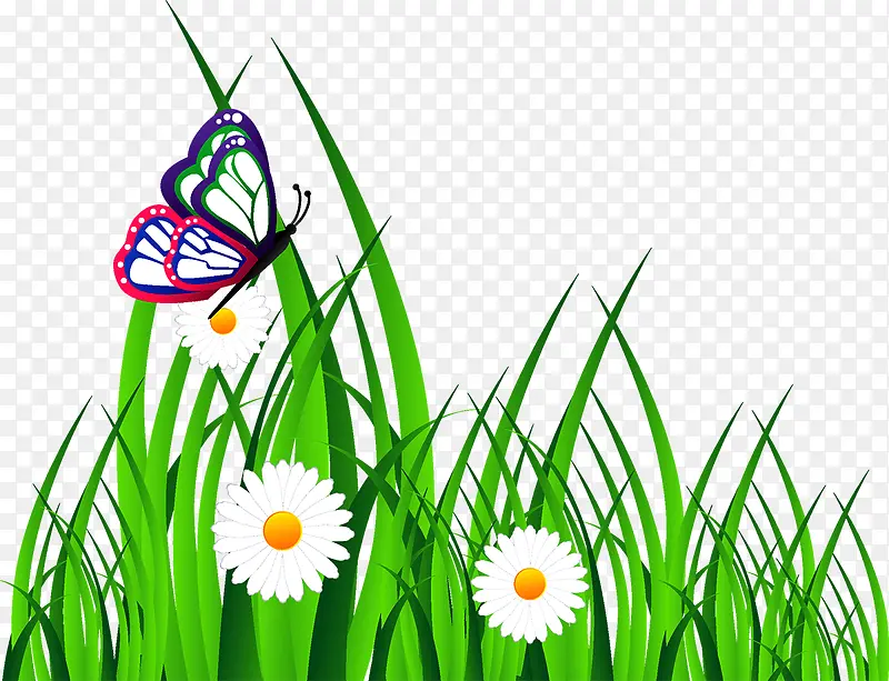 �ݵز�ƺ-������