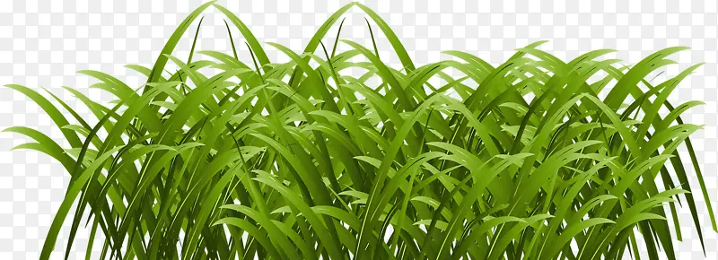 �̲�-������