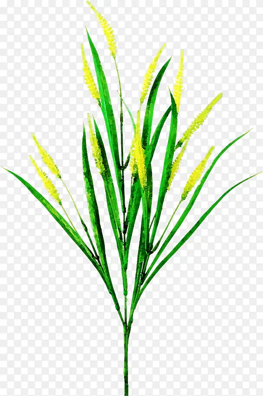 Ư��С��-������