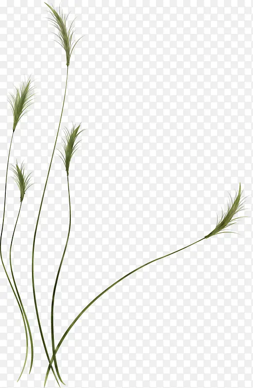 С��-������