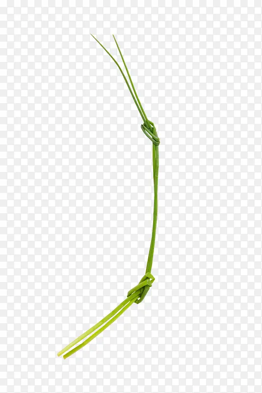 Ư������С��-������