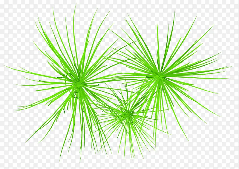 �̲�-������