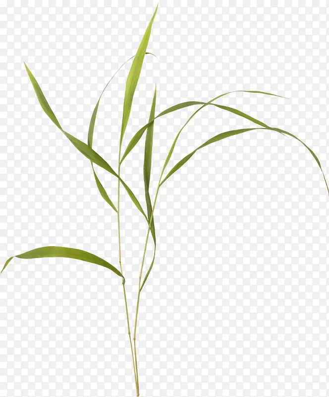 ��ɫƯ��С��-������