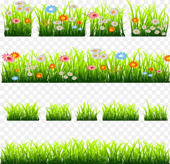 �̲ݺ컨ͼƬ-������