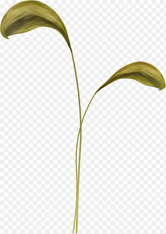 ��-������