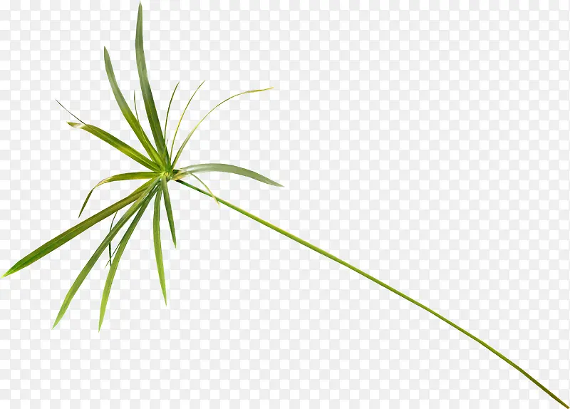 �̲�-������