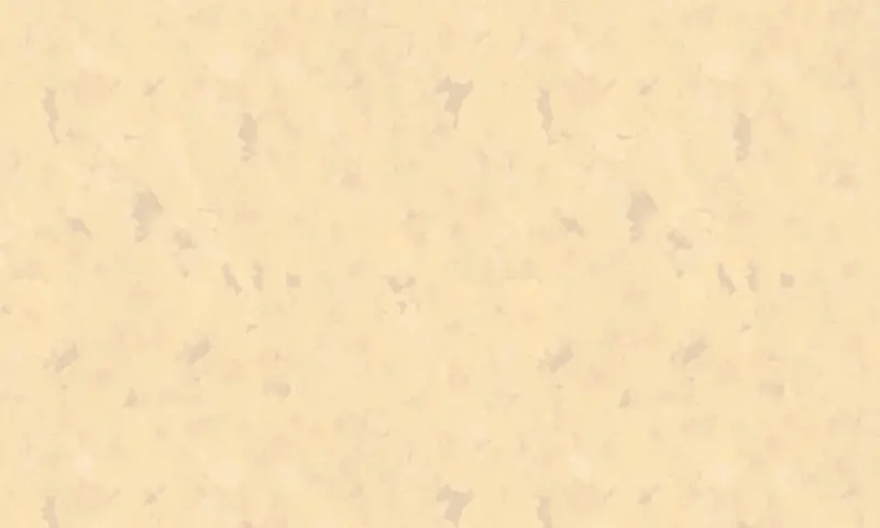 �İ�����-������