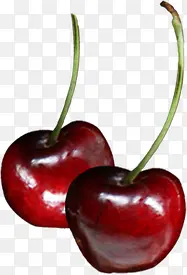 �����ɫӣ��ˮ��-������