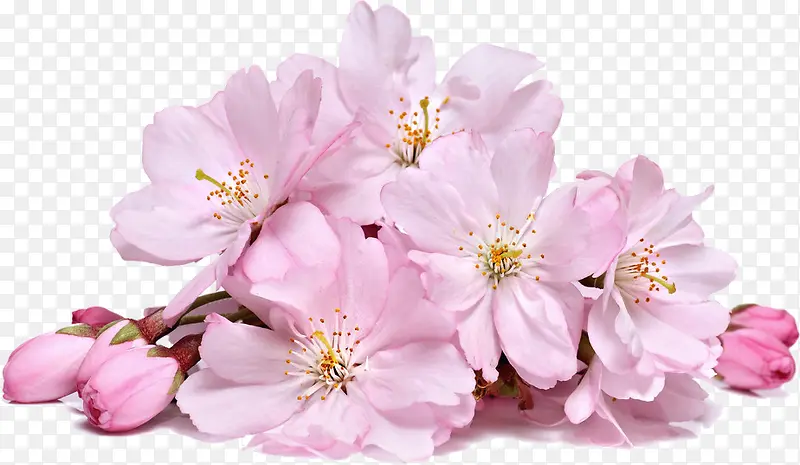 ������Ӱ��ɫ���һ�Ч��-������