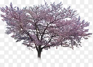 ��ɫ�һ����������Ӱ-������