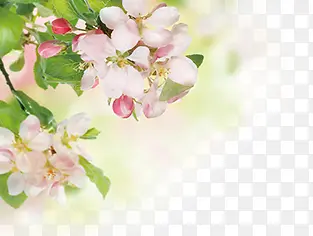 ��ɫ�һ�������Ӱ-������