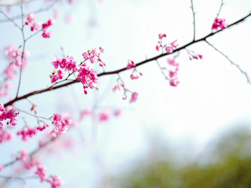 Ψ����ɫ�һ���Ӱͼ-������