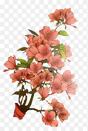 ˮ�ʺ�ɫ�һ���֦-������