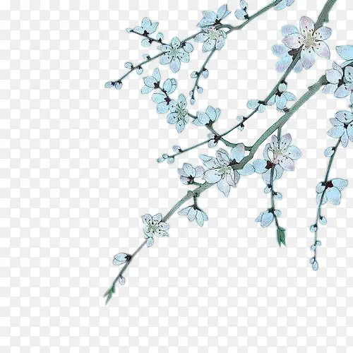 ˮ�ʺ�ɫ�һ���֦-������