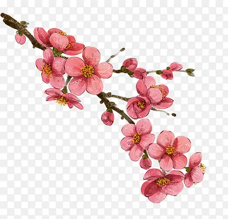 ˮ�ʺ�ɫ�һ�-������