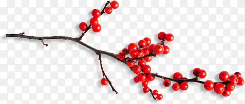 �ϳ�Ч����Ӱ��ɫ��ӣ��-������