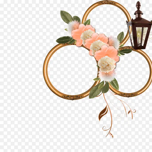 ����װ��Բ�α߿�-������