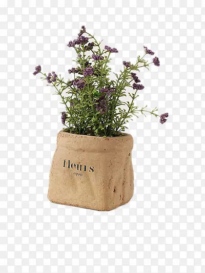 ޹�²ݻ���-������