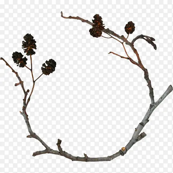 ����֦-������