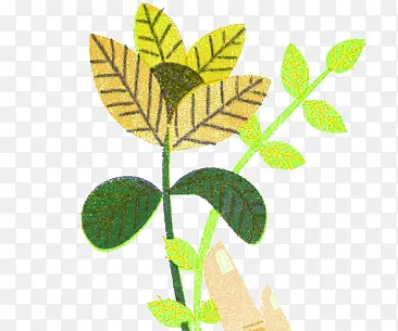 ����廭-������