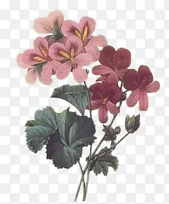 ������ ��ͨ�ֻ滨��-������