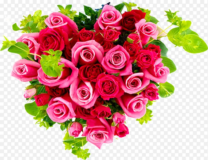 õ�尮�Ļ���-������