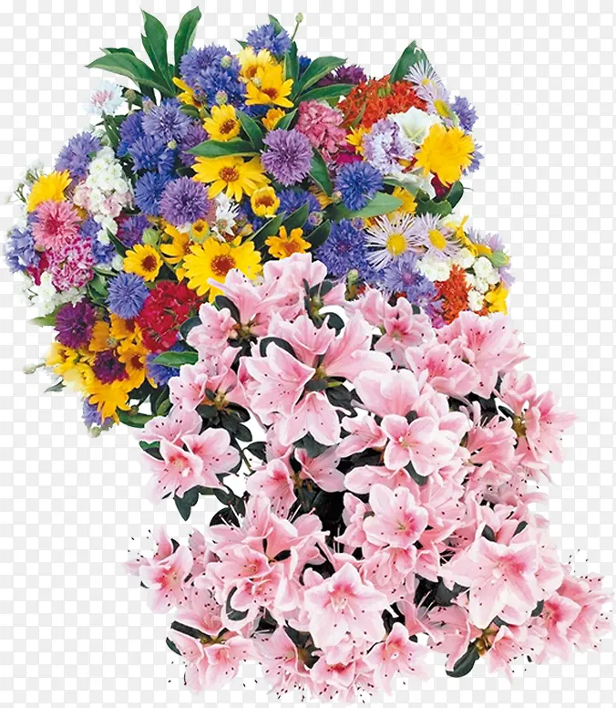 ��ɫ��ͨ�ֻ滨��-������