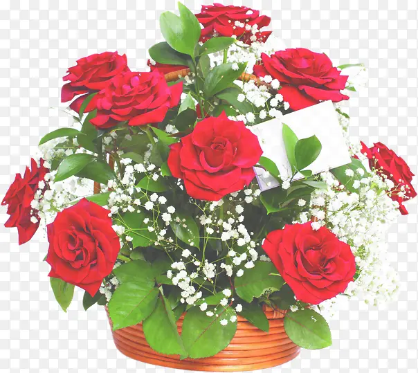 �����õ�廨��-������