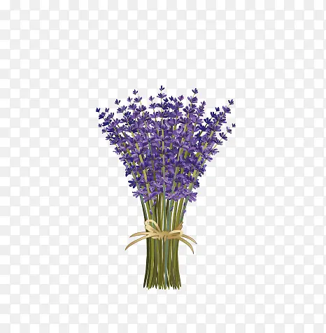 ޹�²ݻ���-������