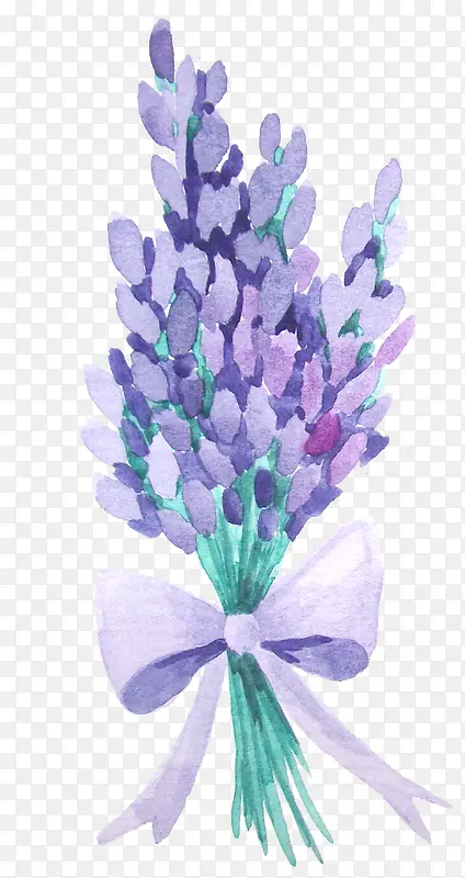 ޹�²�-������