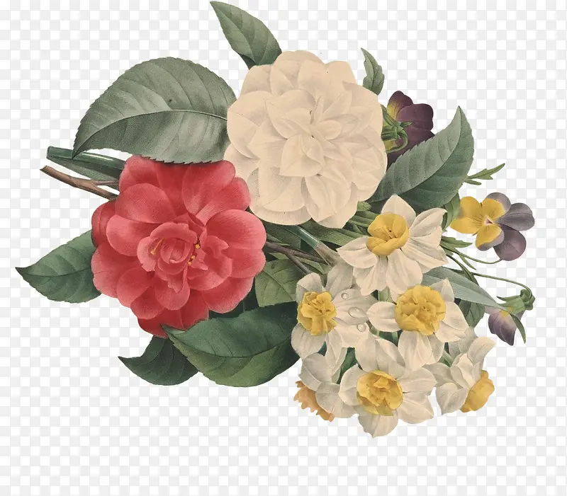 �ֻ滨��Ұ����ɫ-������