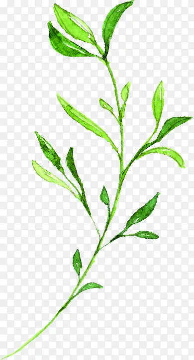 ��ɫ�ֻ�����С����֦װ��-������