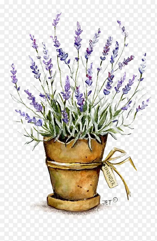 ޹�²�-������