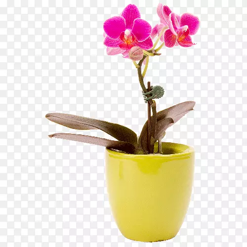 �ɶ����л�ֲ��-����-������