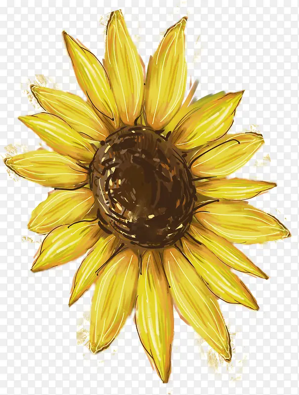 �ֻ�ˮ�ʻ�ɫ���տ�-������