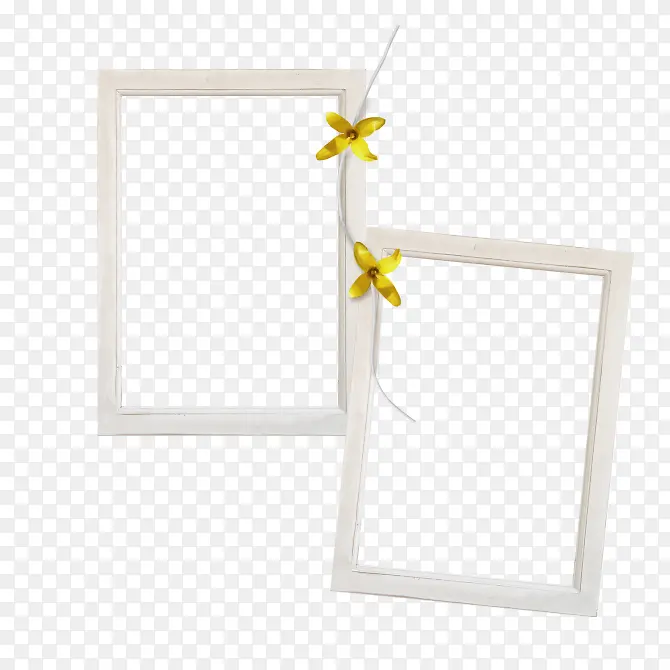 ����ɫ���-������