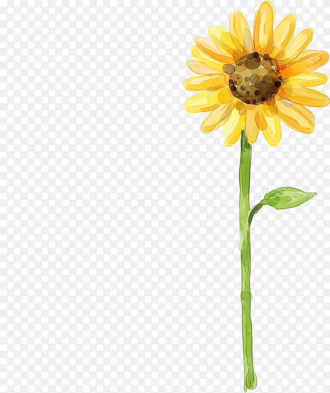 �ֻ��ɫˮ�����տ�-������