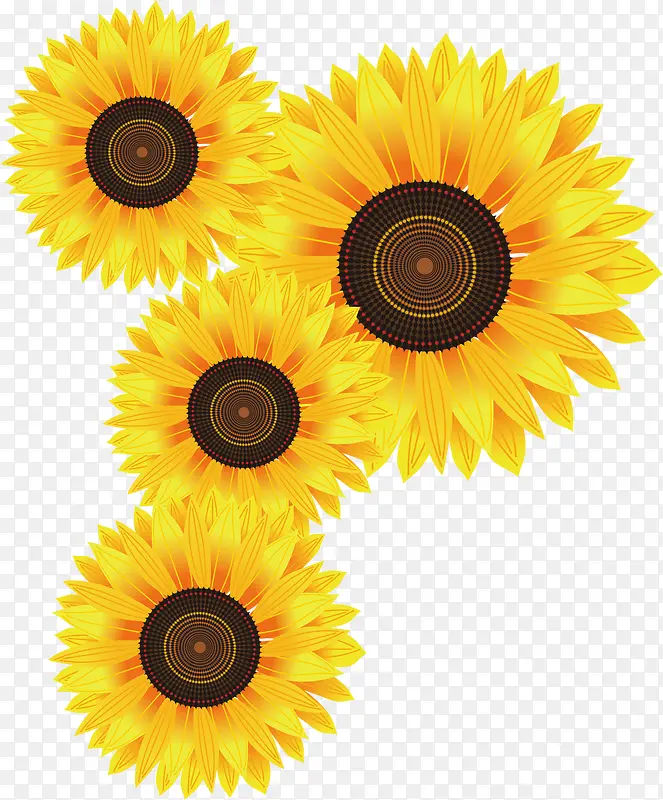 ��ɫ��ͨ�ɰ����տ�-������